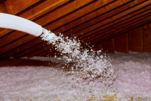 Best Residential Insulation in Neptune City, NJ