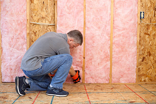 Best Eco-Friendly Insulation in Neptune City, NJ